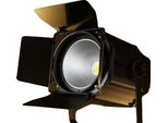 Faretto Da Palcoscenico, Controllo Dmx, Alto Flusso Luminoso, Bianco Caldo E Freddo X2, Spina Ue
