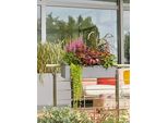 Fioriera Lechuza Balconera Stone 80 Grigio Pietra | Cassetta Da Balcone Con Irrigazione E 2 Inserti Per Piante | Aspetto Pietra Naturale | 79 X 19 X 19 Cm | 15660