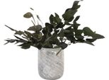 Mazzo - Eucalyptus Stuartiana