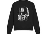 Breaking Bad - Felpa "The Danger"" Per Uomo/Donna Unisex TV21343 (Xxl) (Nero)"