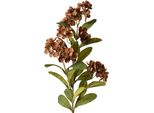 Fiore Artificiale Clayre & Eef 70 Cm In Plastica Marrone