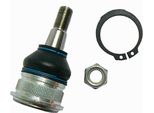 Supporto Inferiore Anteriore/Giunto Di Guida Metzger Per Toyota Yaris (_P1_)