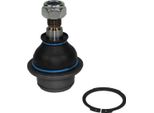 Supporto/Giunto Di Guida Anteriore Metzger Per Ford Transit V363