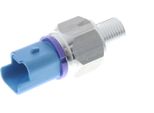 Pressostato Olio, Servosterzo CitroËN Berlingo, Xsara, Xsara Picasso