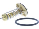 Termostato, Liquido Di Raffreddamento Audi Golf V, Vi, Fabia Polo, Passat