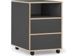 Vicco Contenitore Per Rotoli Tetrix, 42 X 55 Cm Con Ripiani E 2 Cassetti, Antracite/Nordico