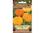 Axamotlum Eretto Alto, Miscuglio 03609