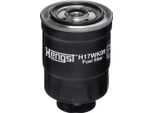 Filtri Hengst H17WK09