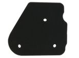 Inserto Filtro Aria Per Aprilia 50 2T (Motore Minarelli), Cpi 50 E1 -2003