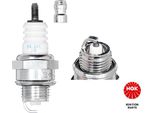 Candela Di Accensione Ngk BPMR6A-10 [1029] Standard