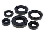 Set Paraolio Motore Naraku Per Minarelli Am, Generic, Ksr-Moto, Keeway, Motobi, Ride, Cpi, 1E40MA, 1E40MB