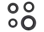 Set Di Paraolio Motore Naraku Per Peugeot Verticale