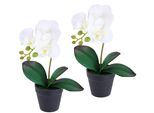 Kunstorchidee I.Ge.A. "Orchidee Im Topf 2Er Set", Weiß, B:18Cm H:30Cm L:9Cm, Polyester, Kunstpflanzen, KüNstliche Phalaenopsis 30Cm Real Touch Blume Kunstblume Seidenblume