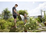 Gardena 18411-20 Tubo Da Giardino 7,5 M Fuori Terra Nero, Grigio, Arancione, Turchese