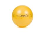 Mdh Abs Rehabilitation Ball With Pump 45Cm