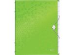 Leitz 4634-00-54 Organizzatore Leitz Wow, Din A4, Pp, 12 Scomparti, Verde Metallizzato