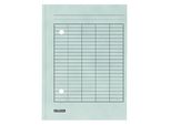 Falken 80001571 Cartella - A4, Grigia, Cartoncino Manila, 250 Gsm