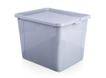 Contenitore In Plastica, Grande Cassone Porta Giocattoli, 30 L, Coperchio