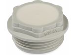 Vite A Membrana Wiska, 10062567, Ems 16, Ral 7035, Grigio Chiaro