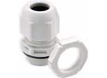 Wiska Pressacavo, 10066528, ESKV-SET 32, M 32X1,5, Metrico, Grigio Chiaro