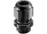 Wiska Pressacavo, 10066123, Eskv 25, M 25X1,5, Metrico, Nero