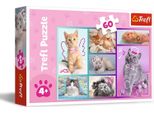 Trefl Trefl Puzzle Kittens 60 Pcs