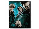 Oh Art! Dipingere Con I Numeri - Harry Potter E I Suoi Amici 40X50 Cm - Set Fai Da Te Su Tela Con Telaio, Colori Acrilici, 3 Pennelli E Accessori - Adulti E Bambini
