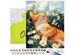 Oh Art! Pittura Numerica Per Adulti E Bambini Animali Gatto Fiori 50 X 40 Cm - Set Fai Da Te: Tela Con Telaio In Legno, Colori Acrilici, 3 Pennelli E Accessori