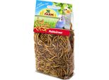 Jr Farm Mealworms 25 G