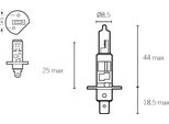 Lampadina Alogena H1 P14,5S 12V 55W