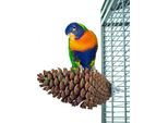 Szyszunia - Frutti Di Pino Essiccati Naturalmente Come Posatoio O Giocattolo Per Pappagalli