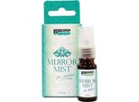 Pentart Vernice Effetto Specchio - Spray - Per Plastica - 9 Ml