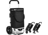 Hengda 3In1 Carrello Della Spesa 40L Fino A 40 Kg Pieghevole Borsa Rimovibile A Mano Carrello Della Spesa Carrello Della Spesa Aiuto Scooter Nero