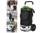 Carrello Della Spesa Hengda Carrello Della Spesa Pieghevole Carrello Leggero In Alluminio Con Borsa Termica Di Grande Capacità Da 40L