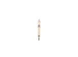 Candeletta Bosch 0 250 603 001