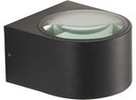 Applique A Led 5W Pesaro 4K OWL-8081-4K Italux