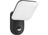 Applique Da Esterno A 12W Led Con Sensore Nammi 4K D-SENSOR OWL-6206-S-4K Italux