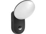 Lampada Da Parete Per Esterni A Led Da 7W Con Sensore Monti 4K D-SENSOR OWL-6214-S-4K Italux