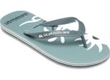 Quiksilver Molokai Screen Infradito Verde Eu 41 Uomo Verde Eu 41