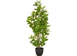 Epipremnum Aureum Pianta In Plastica Di Circa 90 Cm Verde In Vaso Di Plastica 14X13 Cm Con Terriccio Decorazione Per Piante Da Bagno
