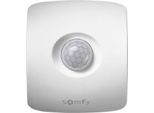 Somfy Movement Detector Io - Sensore Di Movimento - Senza Fili - Io-Homecontrol - 868,42 Mhz