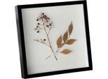 Inf Cornice Portafoto Quadrata In Legno Per Fiori Secchi E Fai Da Te Nero 9 Inch