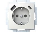 Busch Jaeger Schuko Steckdose USB-A+C 20 EUCB2USBAC-914 (2CKA002011A6298)