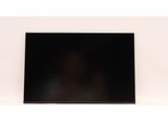 Lenovo Display Fru Auo 13,3 Wuxga Ips 300Nit (5D11D34360)