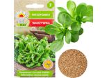 Lattuga Di Agnello Semi Vegetali Lattuga Ricca Di Vitamine 1G