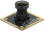 Modulo Telecamera USB2.0 Delock Con Ampia Gamma Dinamica - Telecamera Di Sorveglianza - Scheda - Colore - 1920 X 1080 - 1080P - Lunghezza Focale Fissa - USB2.0 - Dc 5 V (96389)