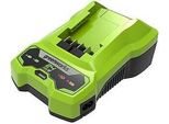 Greenworks 2932407 Batteria / Caricatore Per Utensili A Batteria Caricabatteria