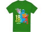 Sesame Street - Maglietta Per Uomo/Donna Unisex, 18° Compleanno TV21495 (Xl) (Irish Green)