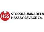 Inserto Per Brocce Gr16V Hassay Savage Ibt