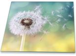 Piastra Di Copertura Del Piano Cottura Piastra Di Copertura Del Piano Cottura In Ceramica 1 Pezzo 60X52 Vetro Dandelion